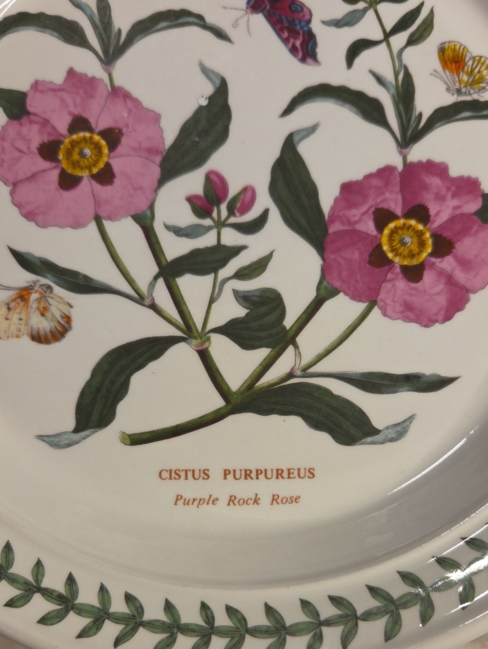 Vintage Portmeirion The Botanic Garden Floral Salad Plates 1972 | Britian Set 4 - Picture 12 of 13